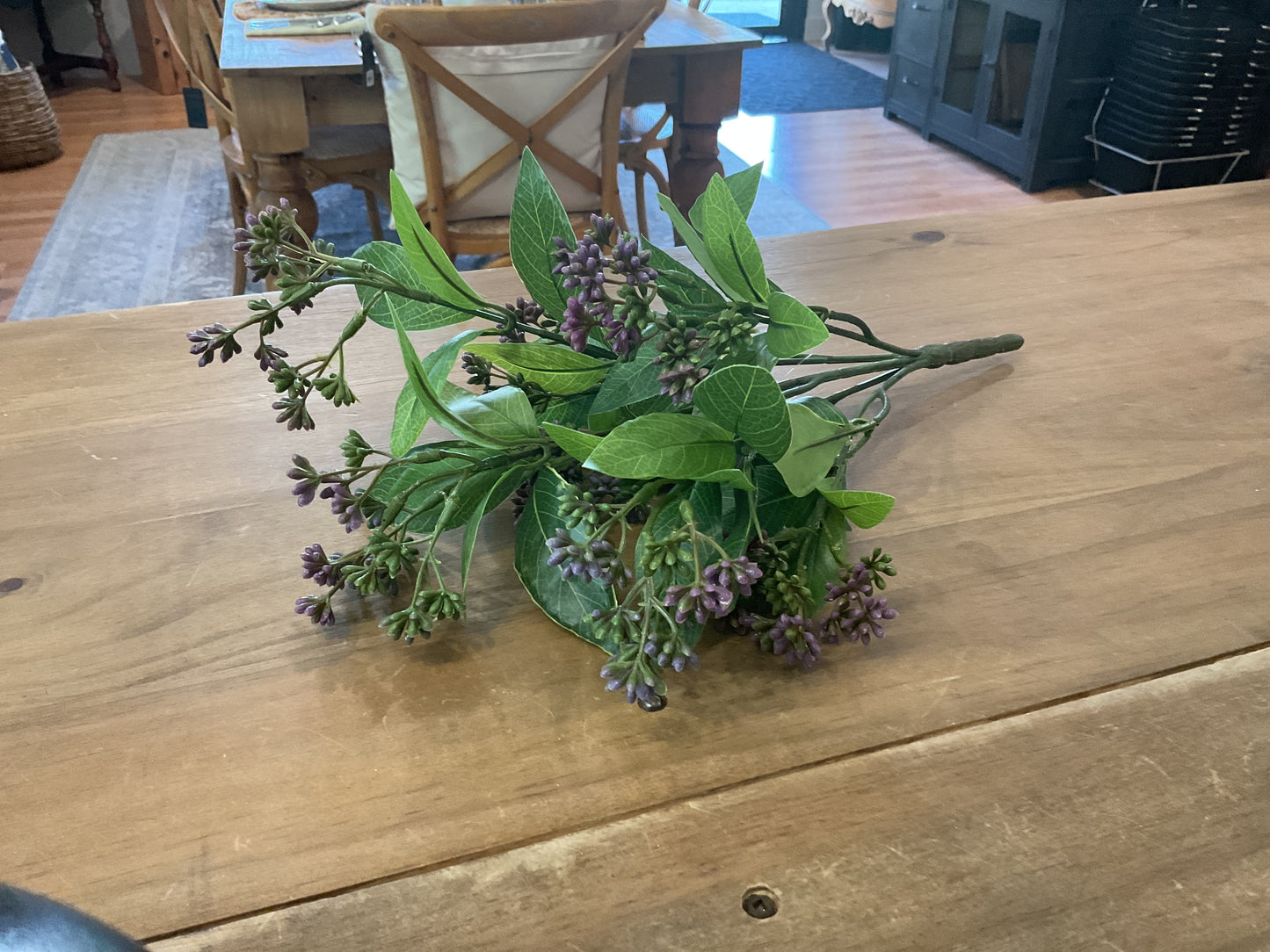Mountain Laurel w/ purple berries bush, 15.5”